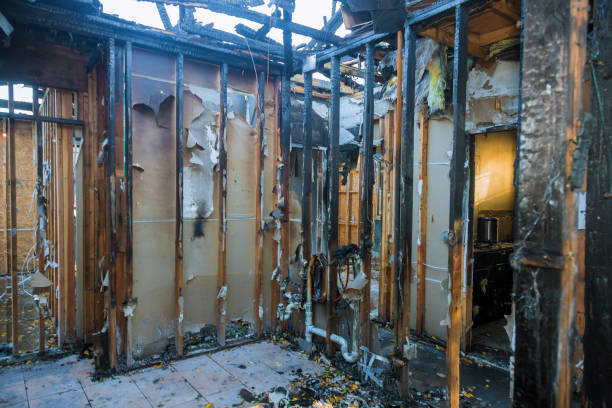 Professional Fire Damage Removal technician working in Nevada, MO